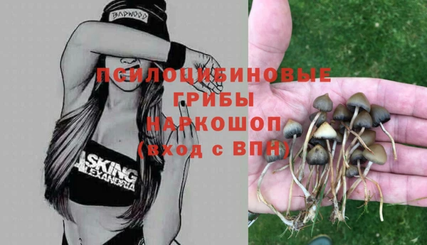 jwh Краснослободск